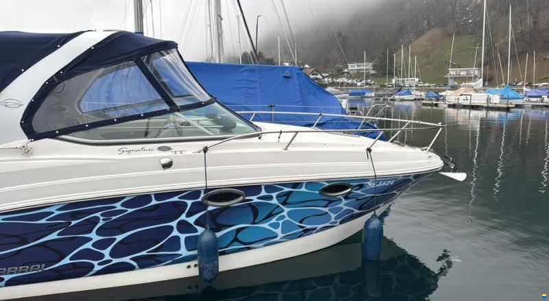 Chaparral 250 Signature