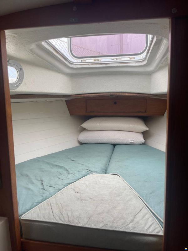 Jeremy Rogers Limited Contessa 32