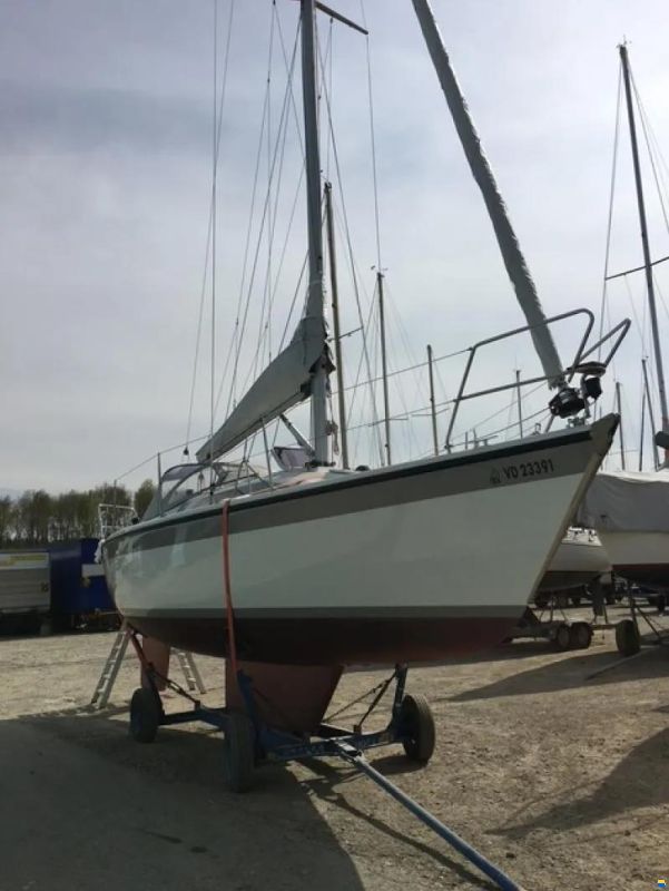 Dehler Duetta 31