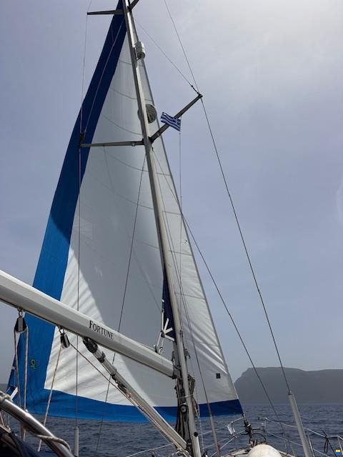 Bavaria 50