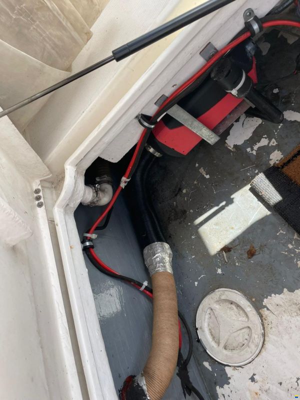 Rio 600 Cabin Fish