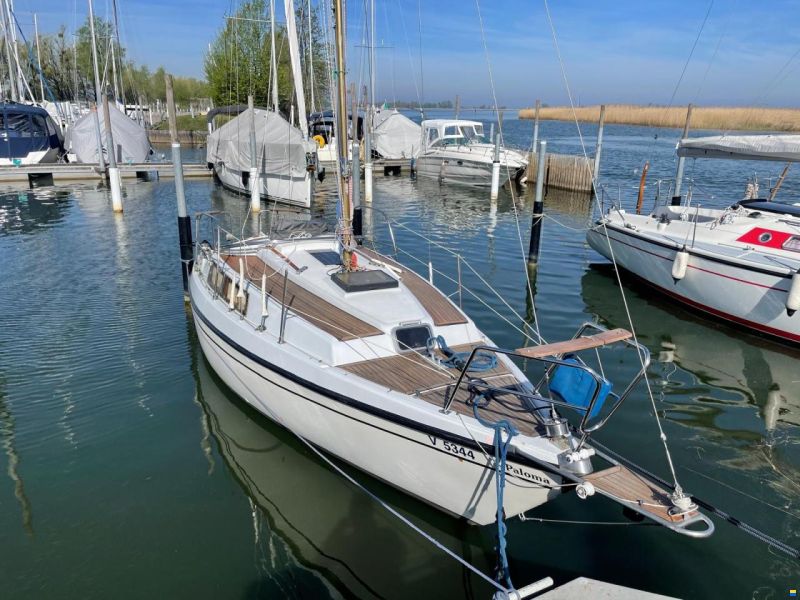 Neptun 26