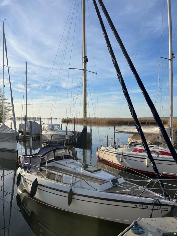Neptun 26