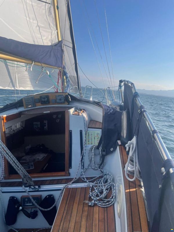 Neptun 26