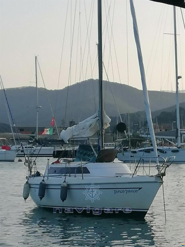 Zuanelli MILLER 31