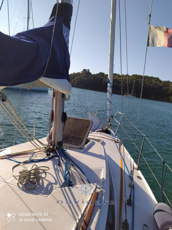 Zuanelli MILLER 31