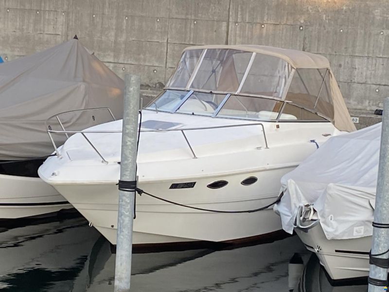 Larson 244 Cabrio