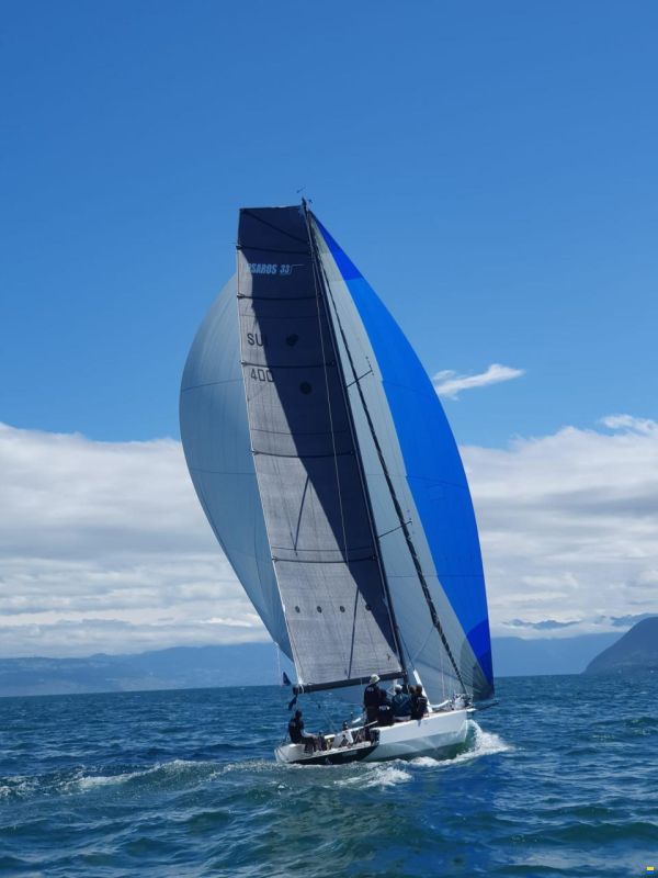 Psaros 33