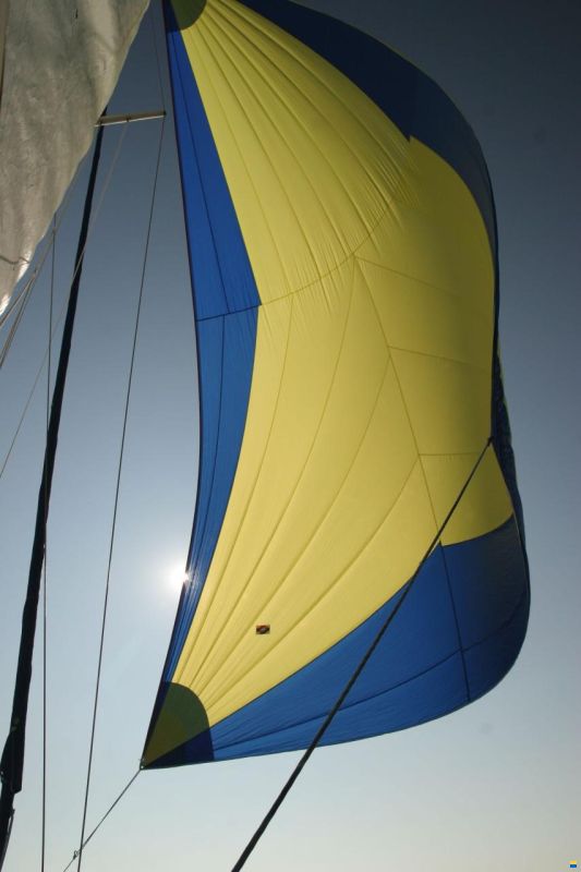 Dehler Optima 101