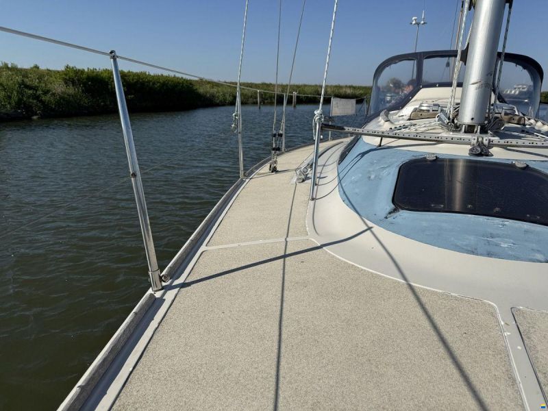 Dehler Optima 101