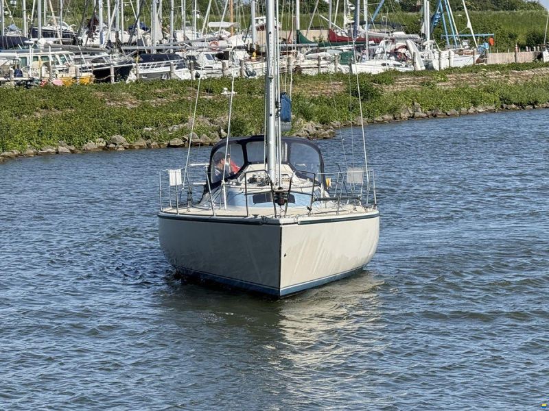 Dehler Optima 101
