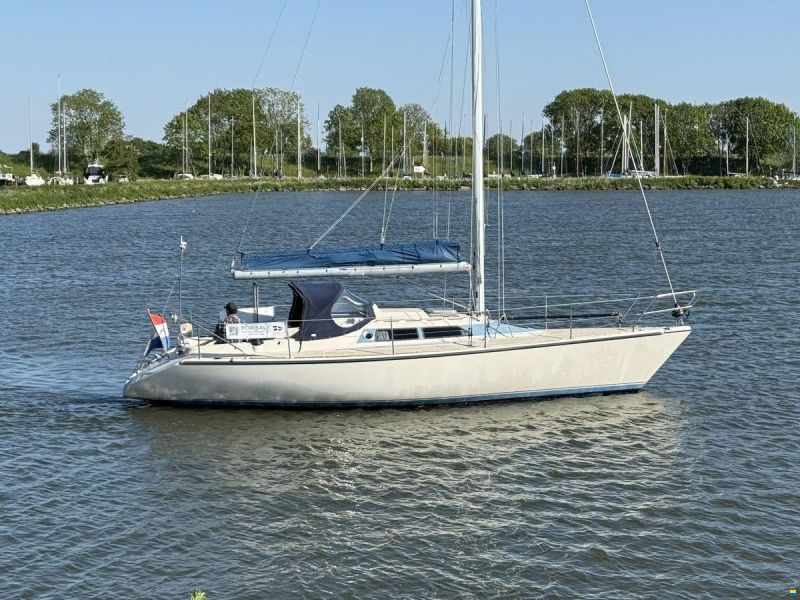 Dehler Optima 101