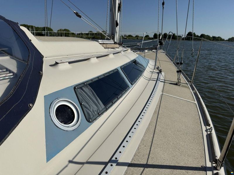 Dehler Optima 101