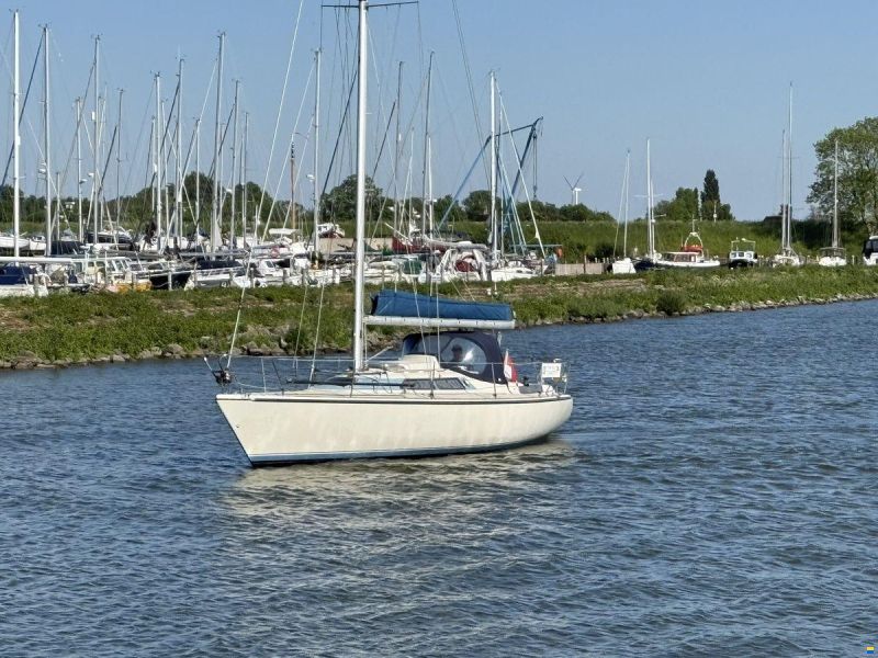 Dehler Optima 101