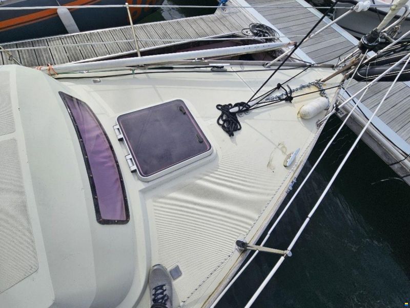 Sturgeon 28