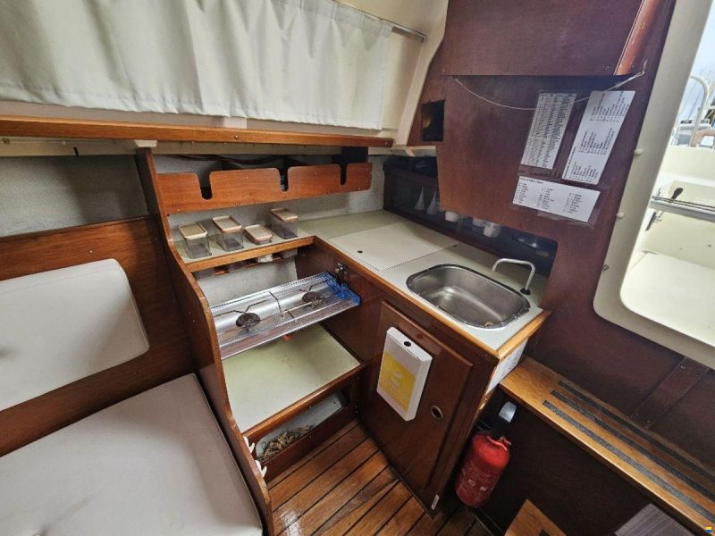 Sturgeon 28