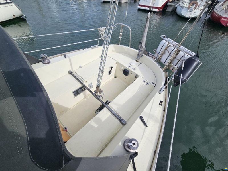 Sturgeon 28