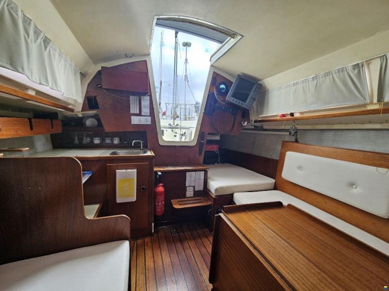 Sturgeon 28