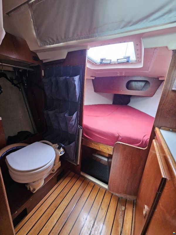 Sturgeon 28