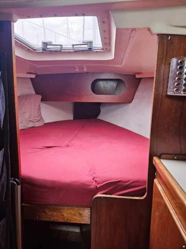 Sturgeon 28