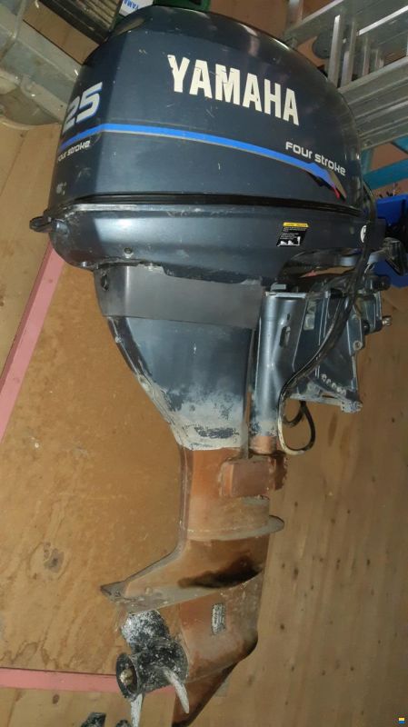 Yamaha F25AEHL