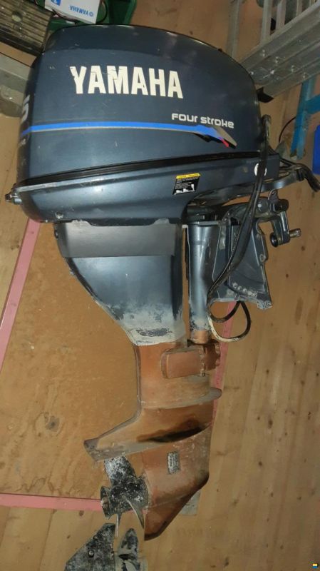 Yamaha F25AEHL