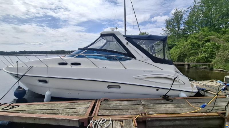 Sealine S38 Sports open