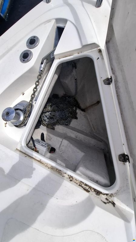 Sealine S38 Sports open
