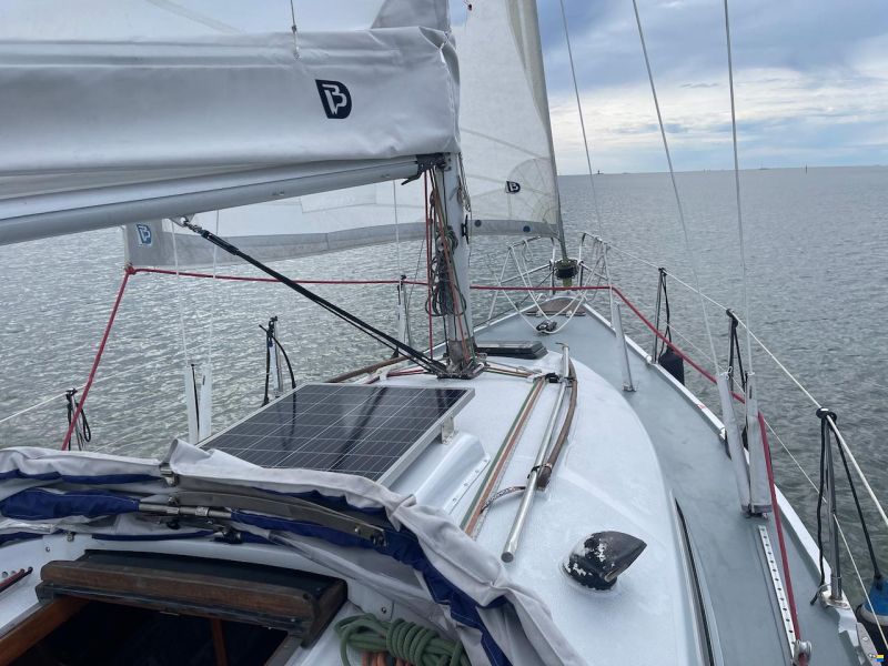 Arabesque 30