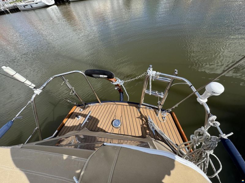 Great Dane 28
