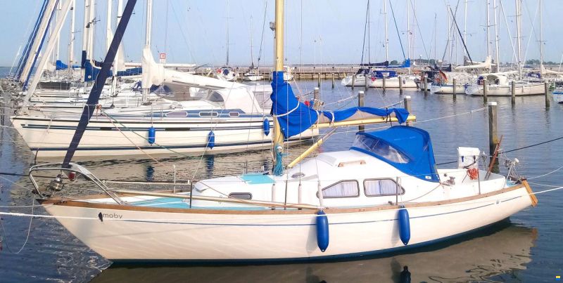 Kingscruiser 29