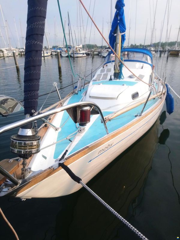 Kingscruiser 29