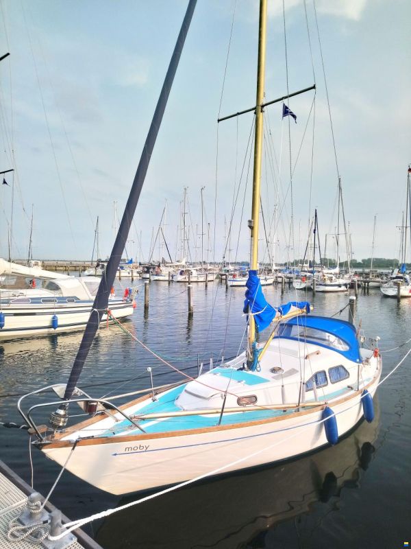 Kingscruiser 29