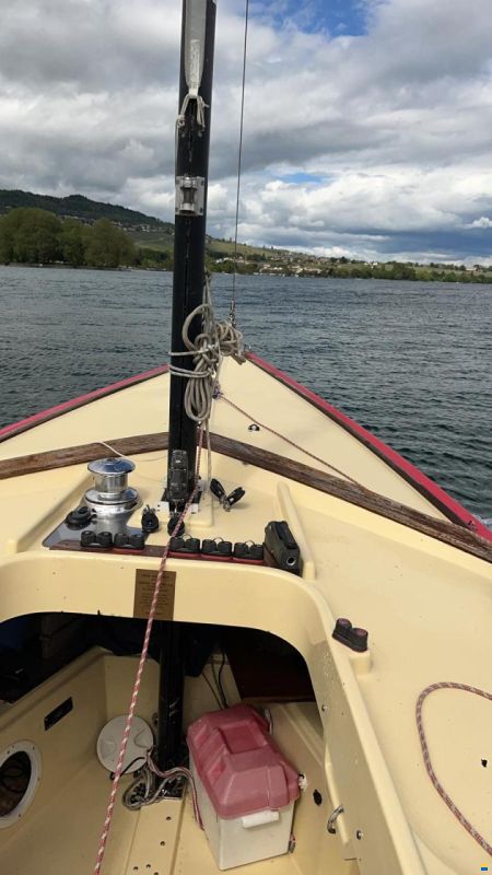 Cornish Crabbers / Piper