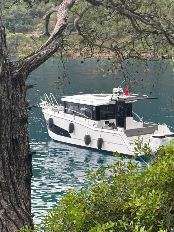 motorboat 31 feet