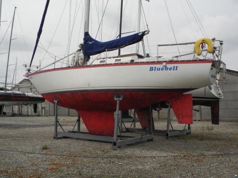 Van Raemdonck ANN