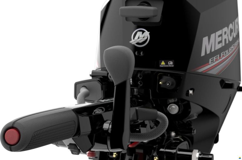 Mercury F15MH