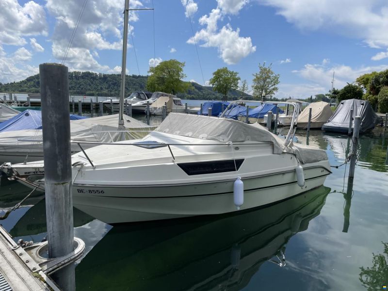 Acquaviva Viva 21