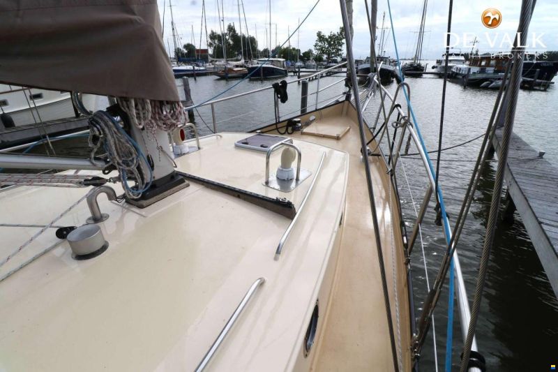 Danish Rose 42