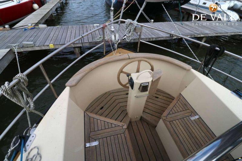Danish Rose 42
