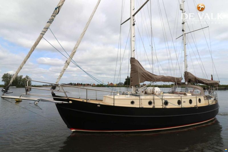 Danish Rose 42