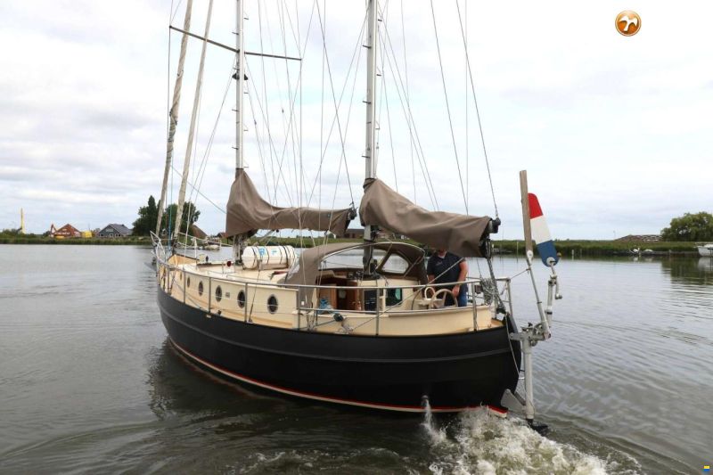 Danish Rose 42