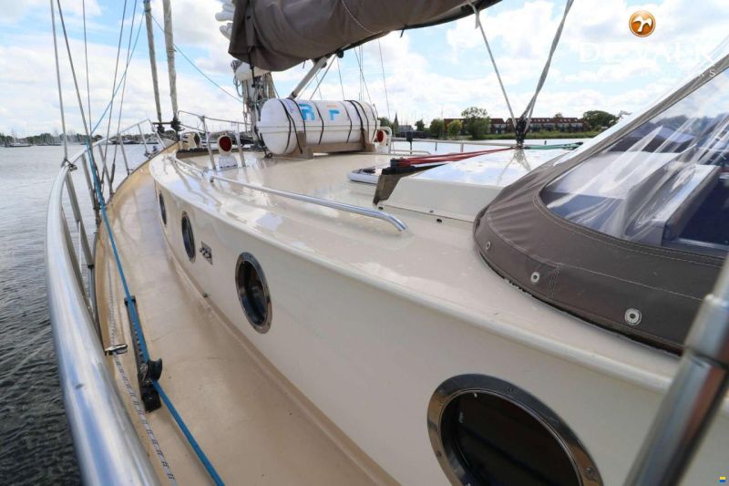 Danish Rose 42