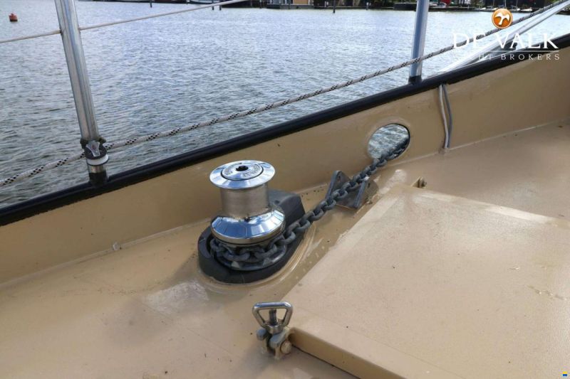 Danish Rose 42