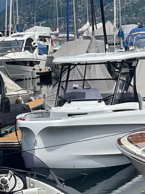 Sterk 31 WB