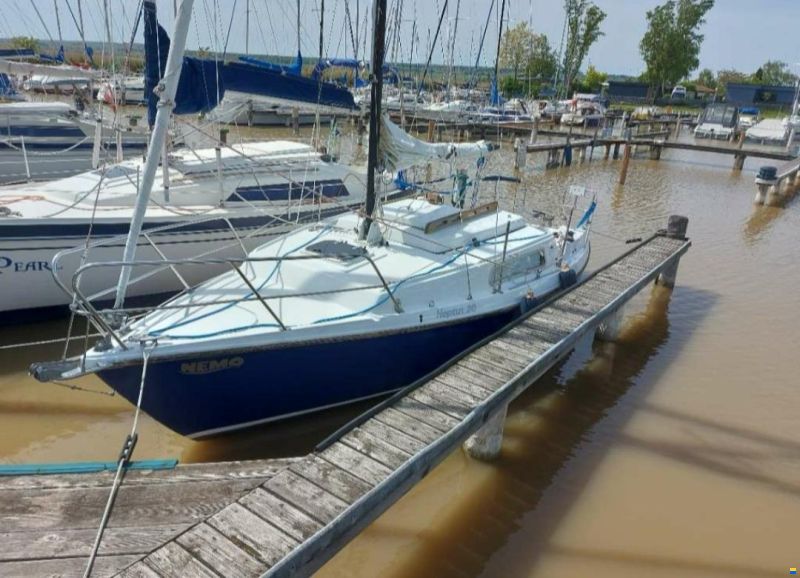 Neptun 20