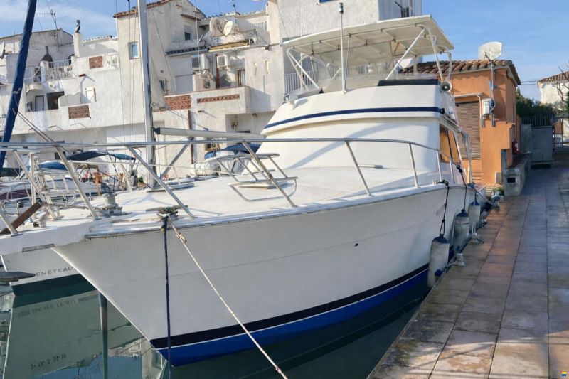 Viking 50 Convertible Sport Fisher