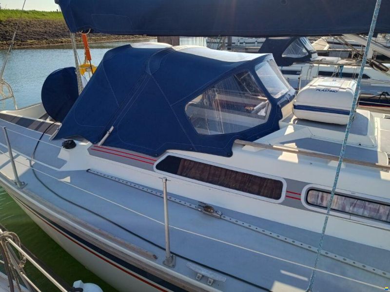 Westerly Typhoon 37