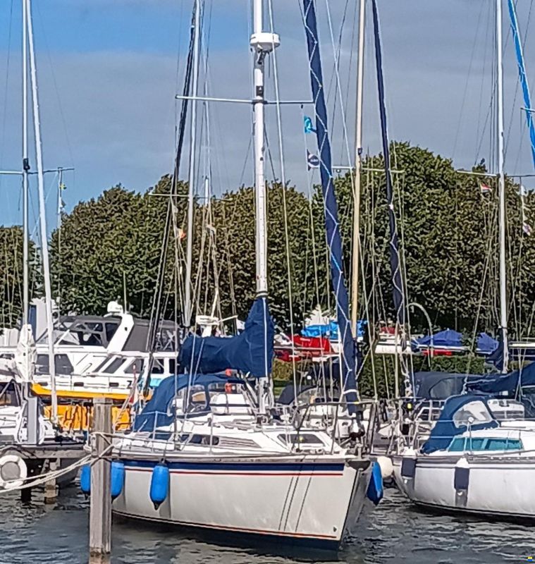 Westerly Typhoon 37