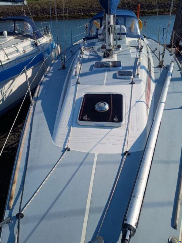 Westerly Typhoon 37